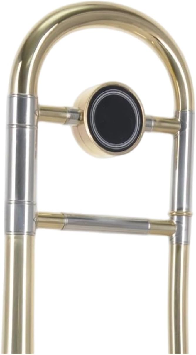 Adult Trombone Instrument Tenor Trombone Instrument B Flat Beginner's Drawstring Brass Lacquer Gold