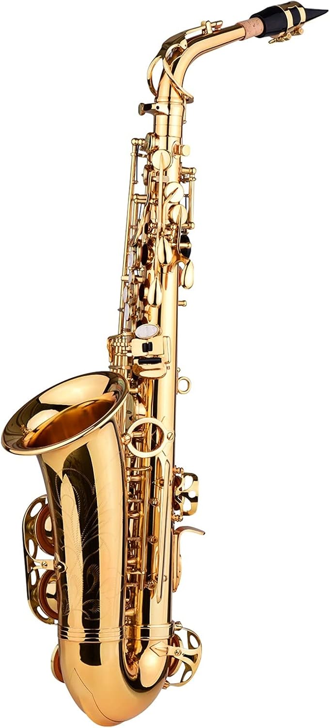 Sax Beginners Kit E Flat Alto Saxophone EB Key Brass Gold Lacquer with Hard Case Cleaning Brush Cloth Gloves Straps Saxophone Lanyard Wind Instrument