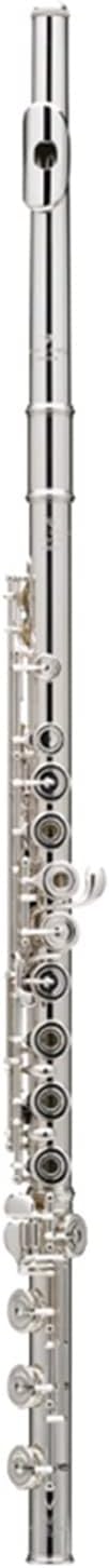 Flute Silver Plating 17 Holes C Flutes Key Woodwind Instrument Padded Flutes (Color : Silver)