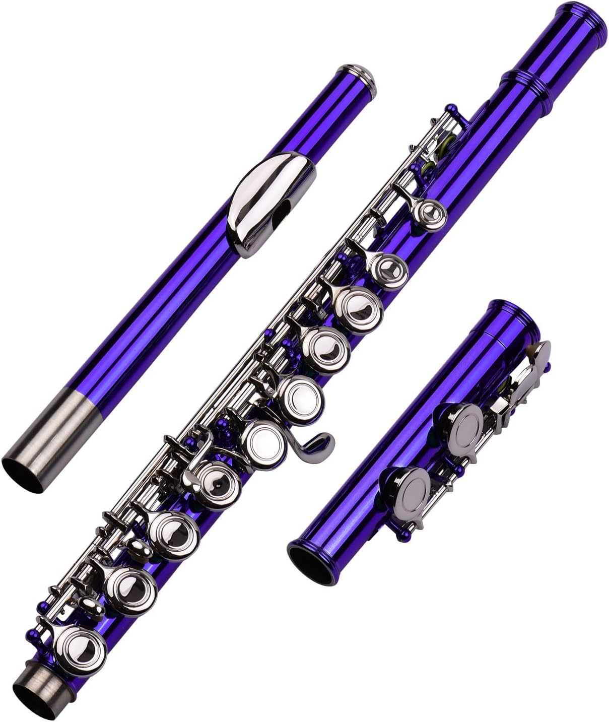 Flute Kit Closed Hole C Flute 16 Keys Cupronickel Nickel- Plated Wind Instrument with Carry Case Flute Stand Gloves Cleaning Cloth Intermediate Flute (Color : Blue Green)