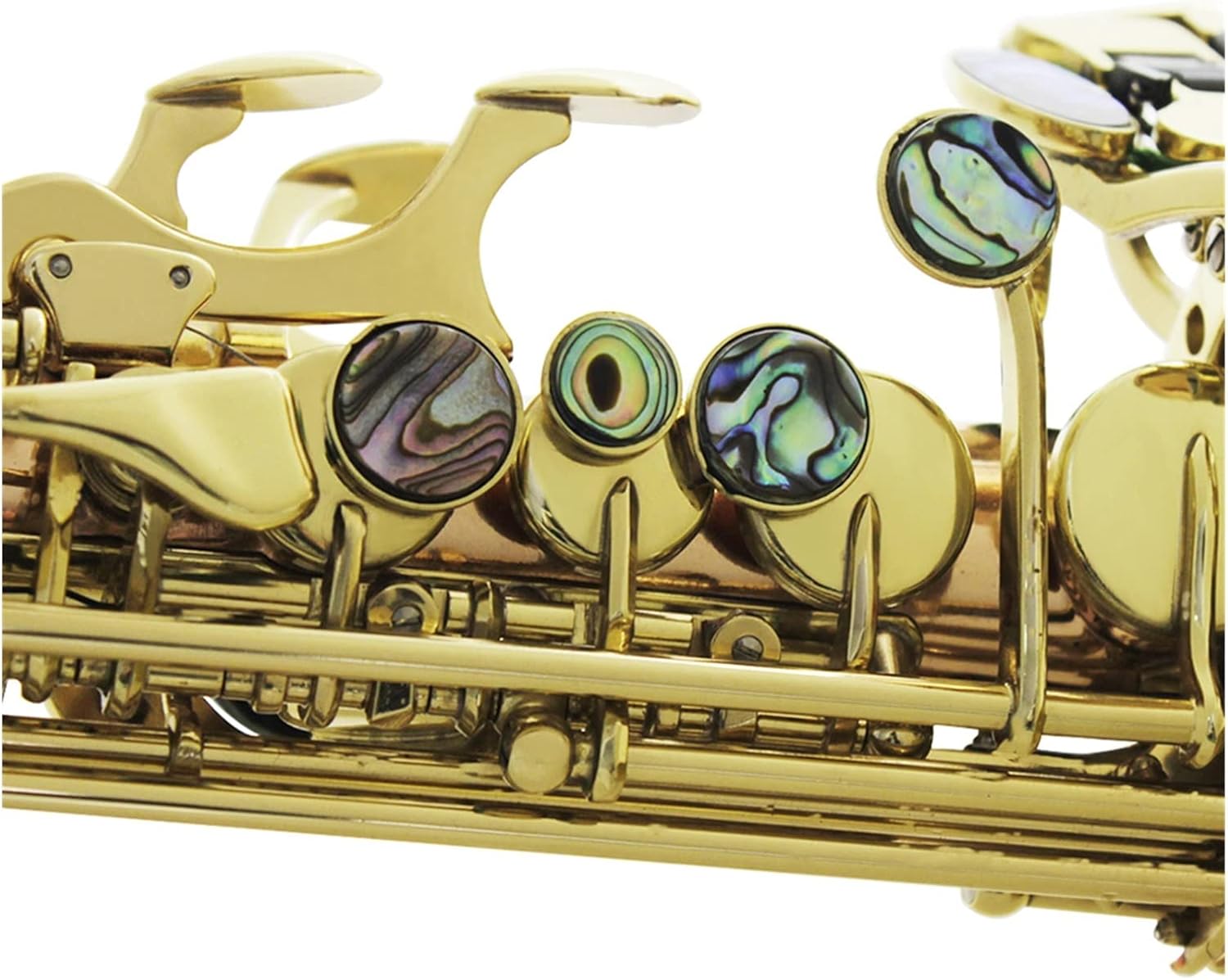 TSTS Saxophone Abalone Shell Buttons Mouthpiece Reeds Wind Instrument Accessories Brass Sax Full Kit