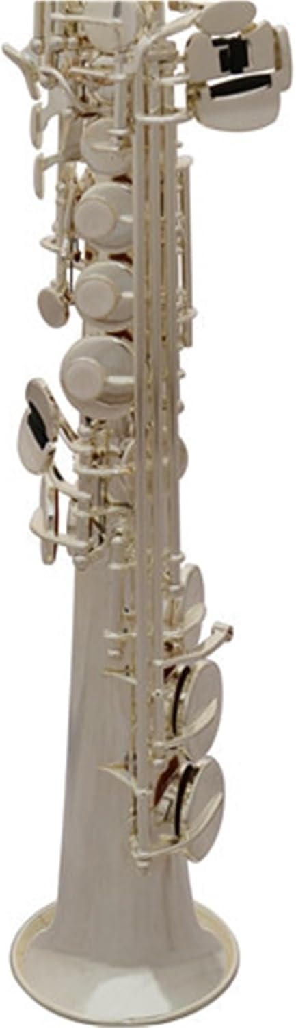 Saxophone for Beginners Saxophone Musical Instrument Saxophone Woodwind Instrument Silver-Plated B Flat Soprano Saxophone with Box
