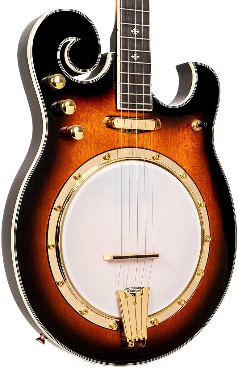 Gold Tone EBM-5 Electric Banjo (Five String, Tobacco Sunburst)
