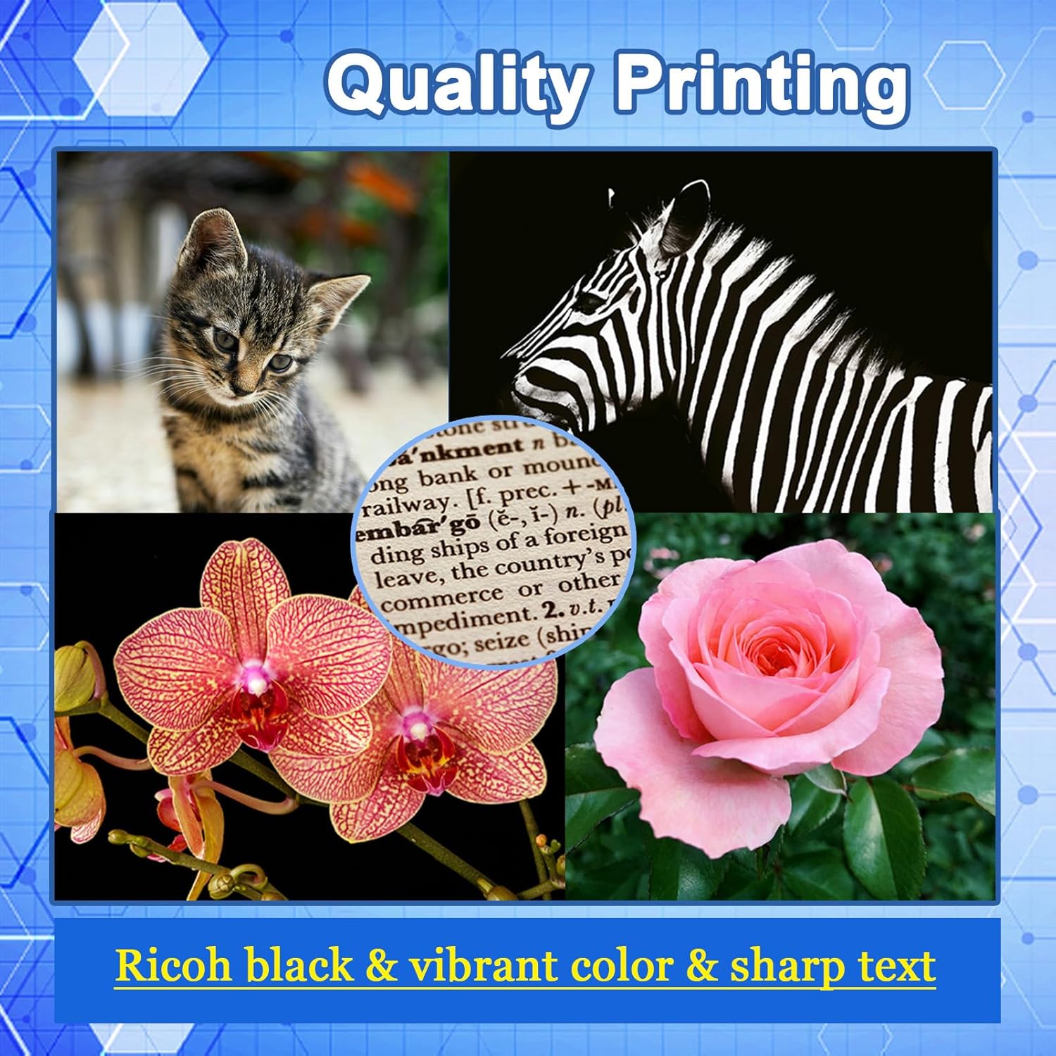 MPC3004 C3504 Imaging Drum Kit, Compatible for Ricoh MP C3004 MP C3004SP MP C3504 MP C3504SP Copier Drum Cartridge Magenta