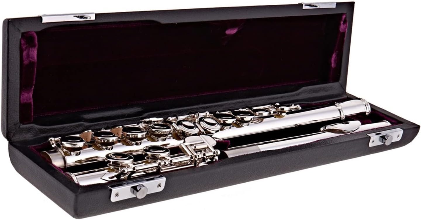TSTS Flutes Musical Instrument Student Closed Flute Silver Riser and Lip Flute Split E and Offset G Key Beginners Wind Instrument