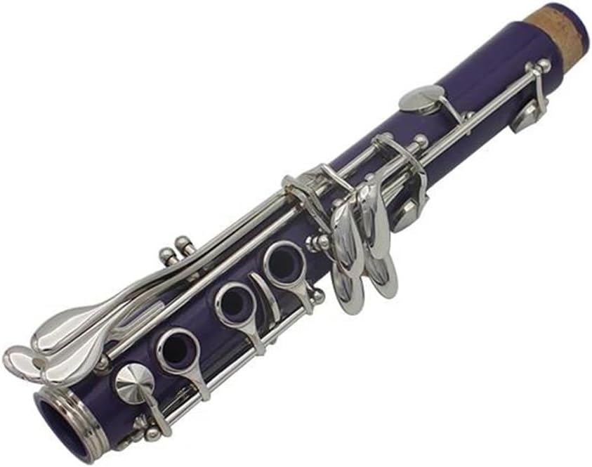 Clarinet Musical Instruments 17 Keys Bb Clarinet 6 Rings Purple Clarinetto Portable Bakelite Clarinet With Accessory Woodwind Instruments