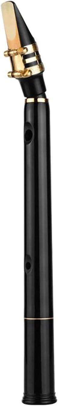 Sax Beginners Kit Black Pocket Sax Mini Portable Saxophone with Carrying Bag Woodwind Instrument Musical Accessories Wind Instrument (Color : Style 3)