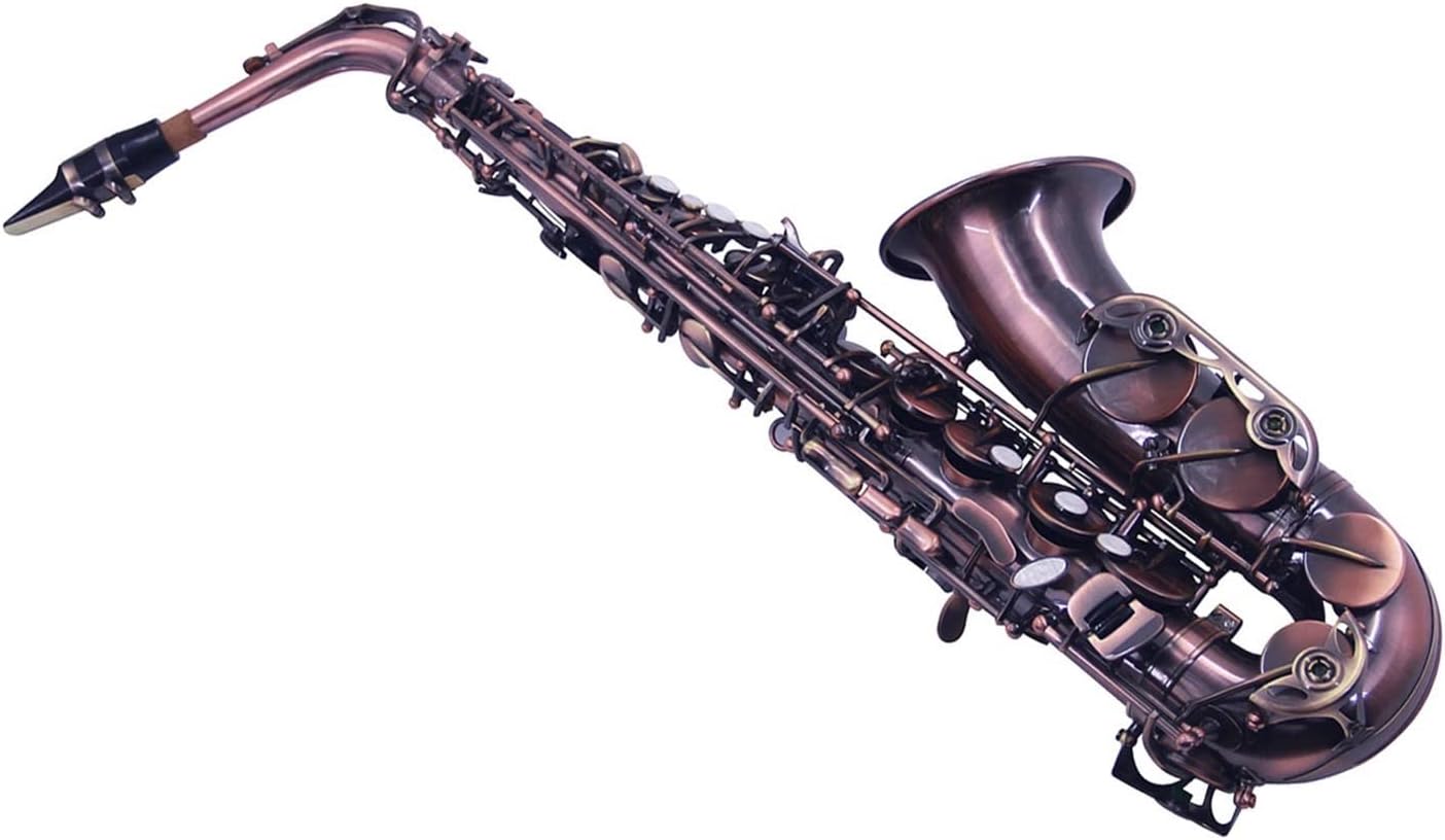 KESHUO EB Alto Saxophone Sax 802 Key Type Woodwind Instrument with Carrying Case Reed Cleaning Brush Cloth Gloves Straps Brass Sax Beginners Kit (Color : Style2)