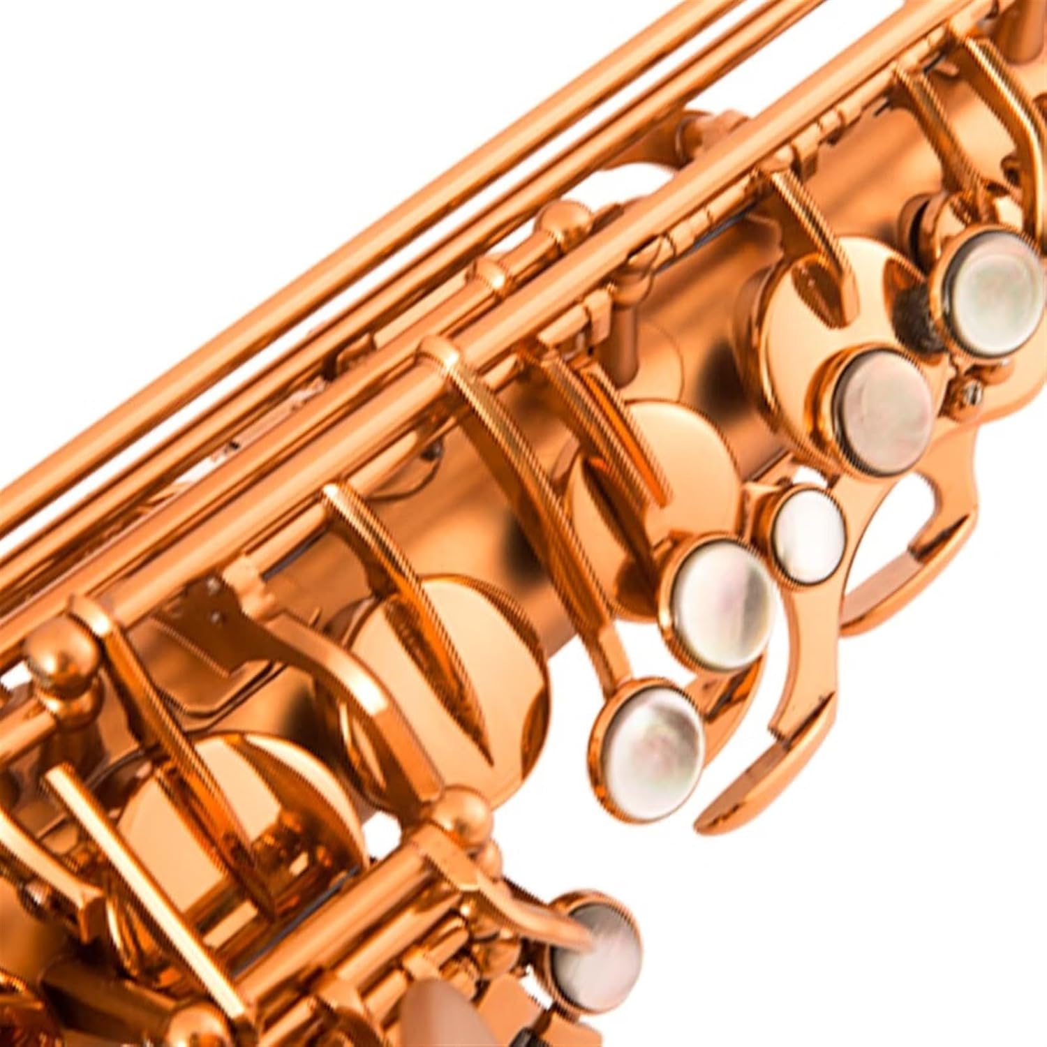 E Flat Alto Saxophone Woodwind Instrument Professional Beginners Grade Examination Matt Gold