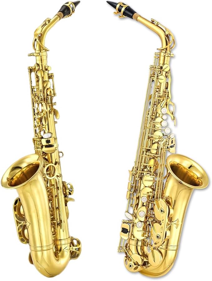 Alto Saxophone Beginner Kit for Adults & Students - Eb Gold Lacquer Full Brass Instrument with Case, Reeds, Mouthpiece & Cleaning Kit - Professional Sound & Easy to Play (Gold)