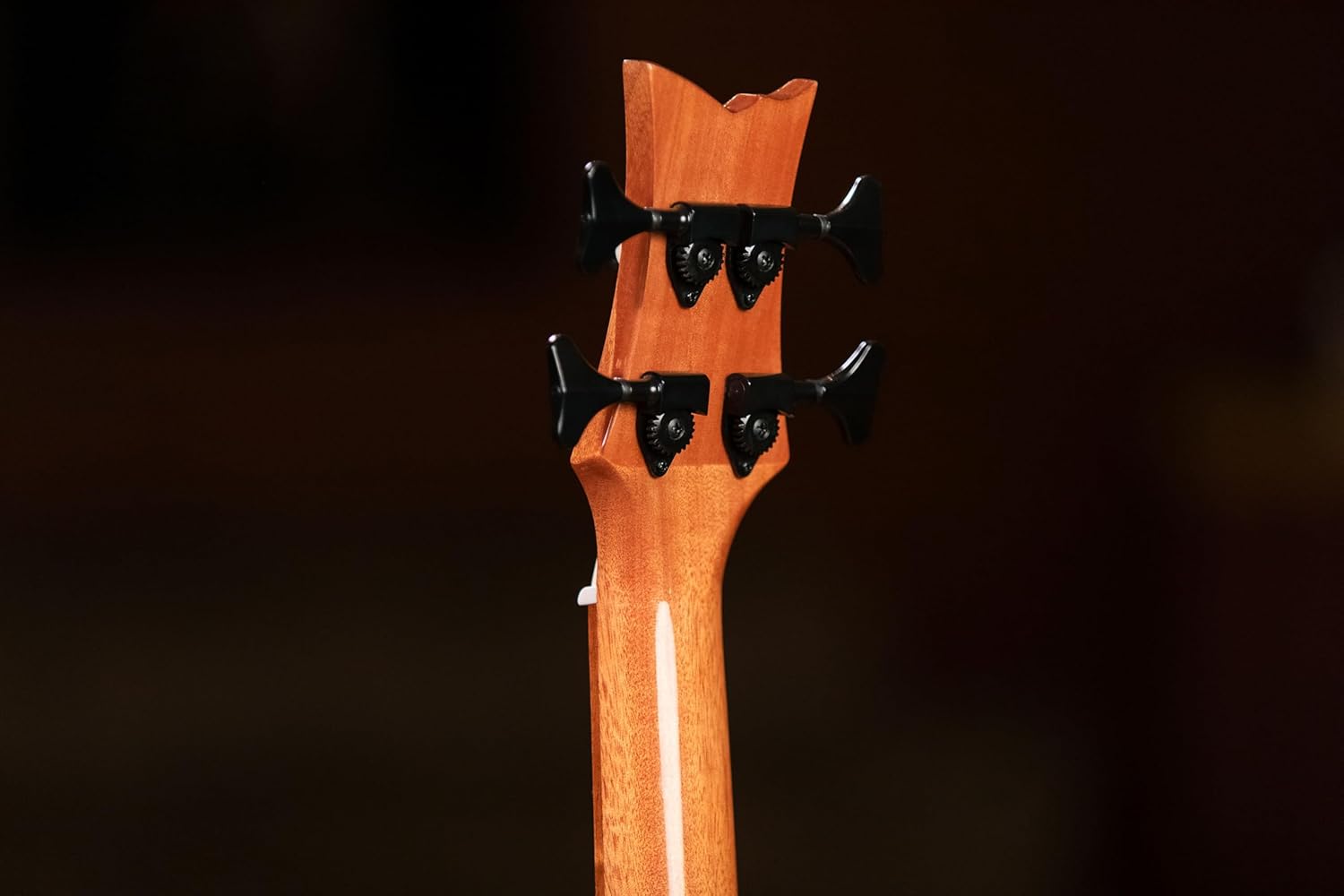 Lizard Series Acoustic-Electric Uke-Bass w/Bag