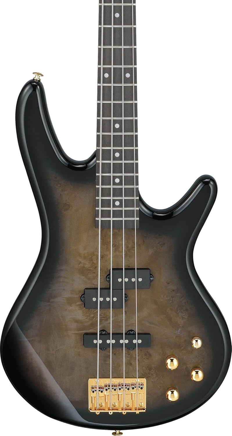 Ibanez Gio GSR200PC 4-String Right-Handed Electric Bass Guitar with Okoume Body, Maple Neck, and Purpleheart Fretboard (Transparent Pale Black Burst)