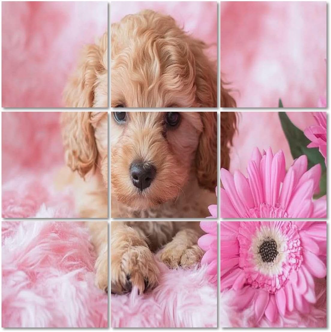 Art Acoustic Panels Self Adhesive Cockapoo Puppy 9 Packs Decorative Soundproof Wall Panels Large Sound Absorbing Panels for Home Office 60