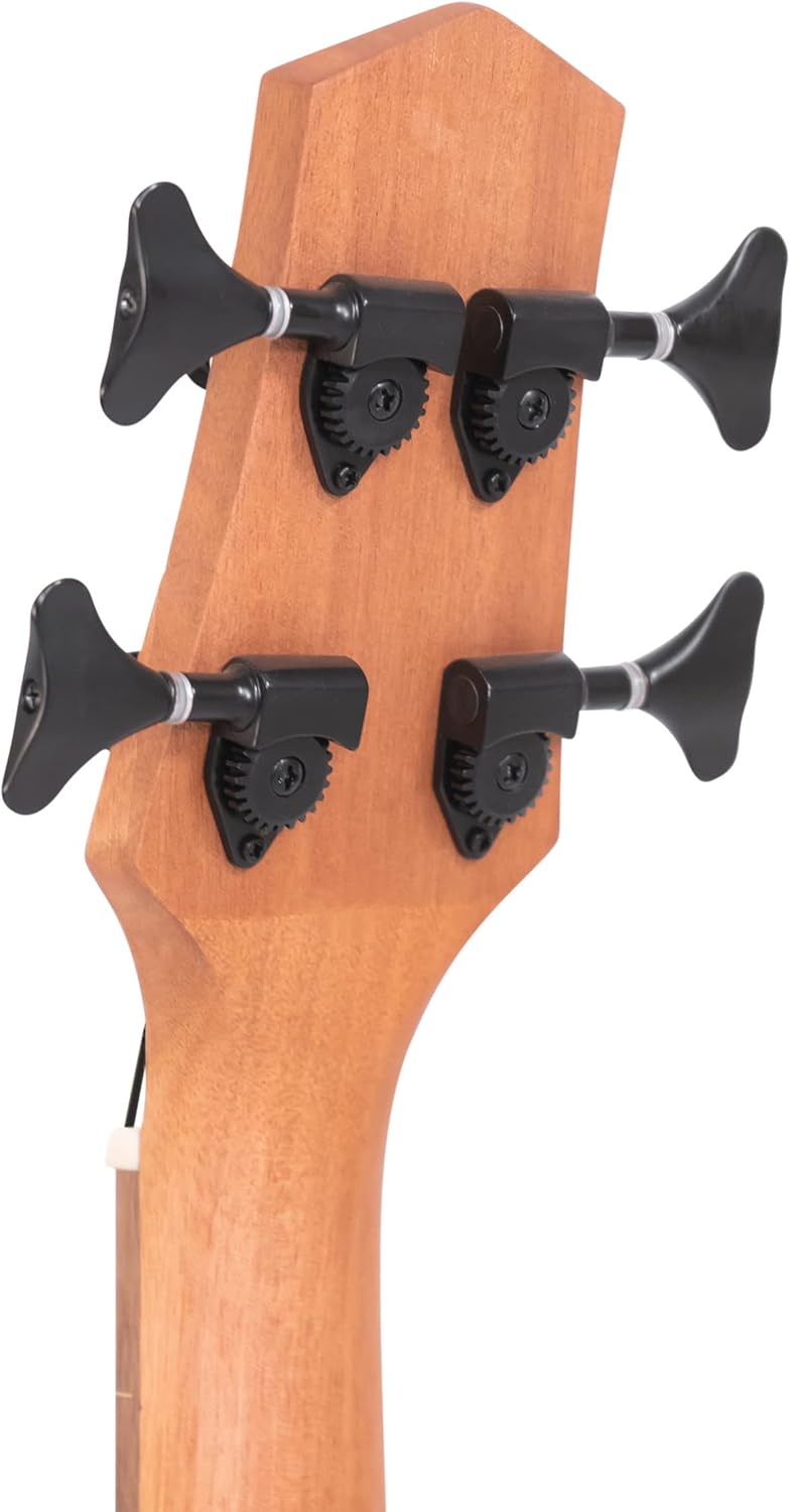 Gold Tone M-BassFL 23-Inch Scale Fretless Acoustic-Electric MicroBass with Gig Bag