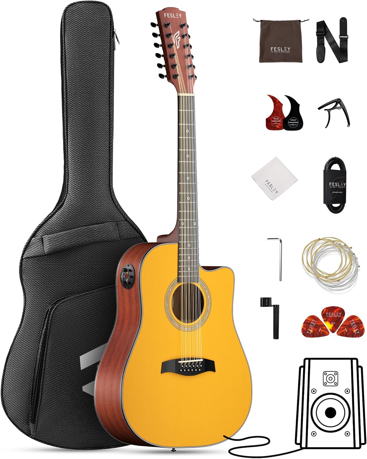 12 String Guitar: 42