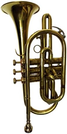 Cornet Finish B Flat Great Look & Sound With Case Mp Gold shry050
