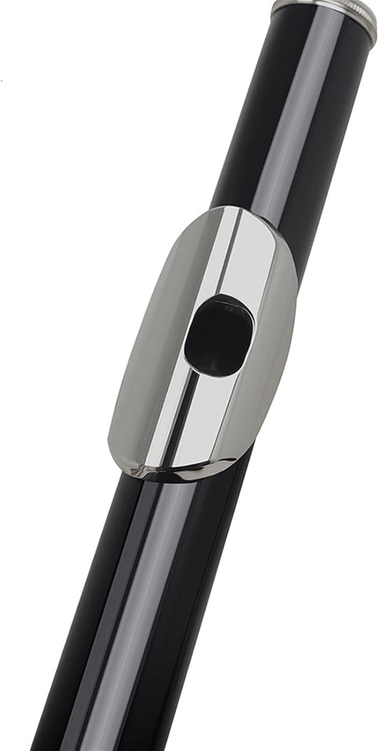 Flute Kit Black 16 Holes Flute Woodwind Instrument Closed Key Add The E Key C Tone Nickel Plated Concert Flute with Music Case Intermediate Flute
