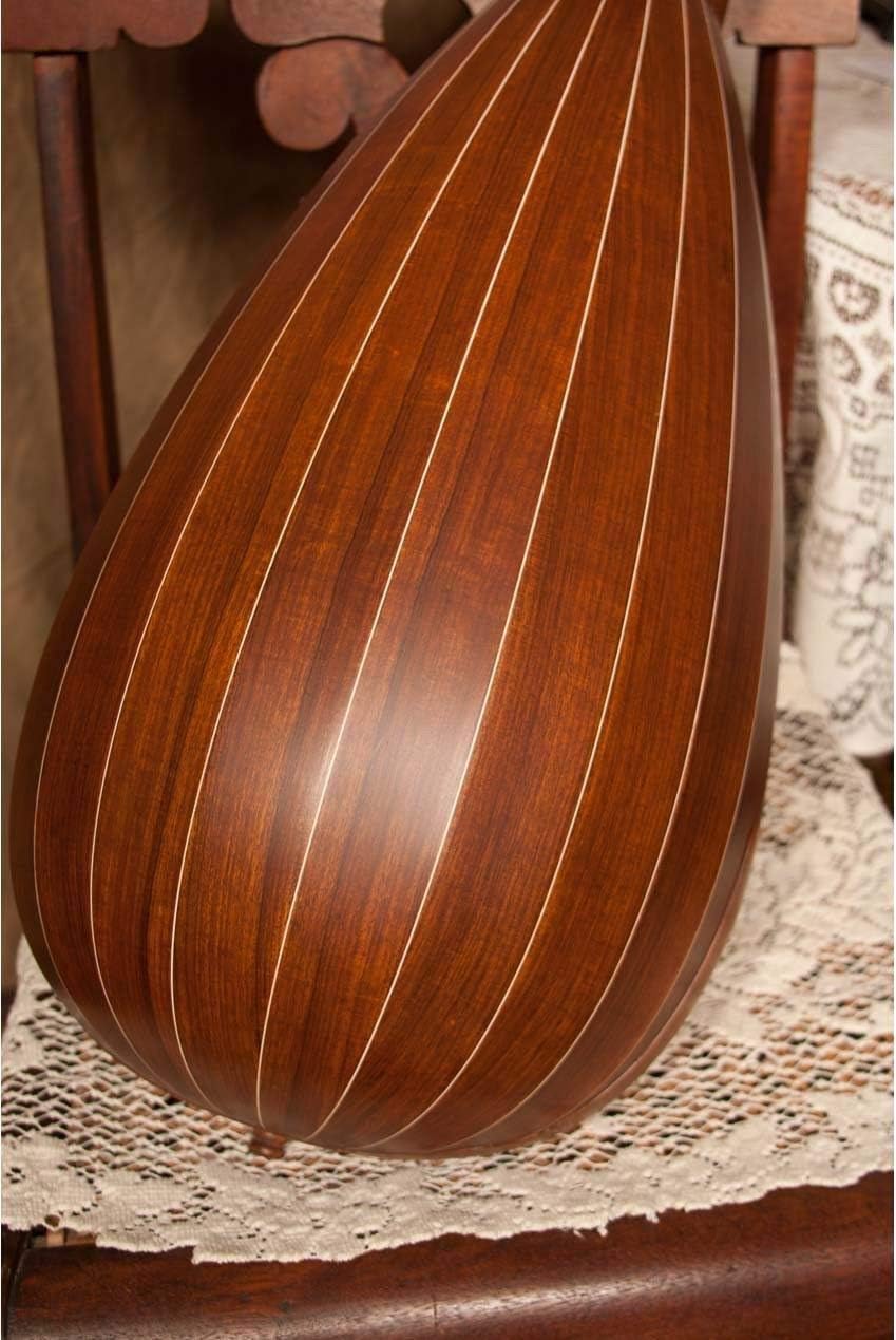 Includes: Roosebeck 8-Course Travel Lute + Roosebeck 8-Course Lute String Set + Snark Clip-On Chromatic Tuner For Guitar, Lute, Oud Dulcimer