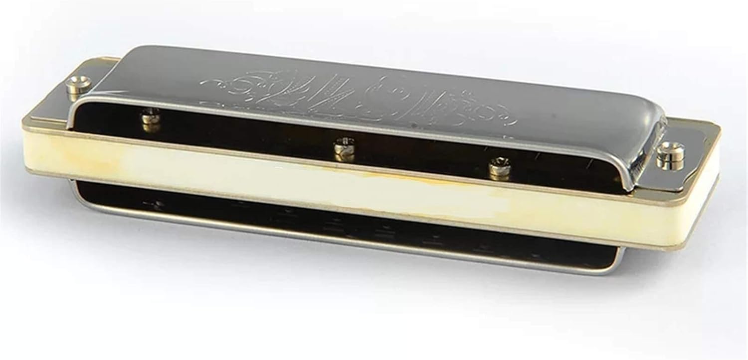 Harmonica Silver Diatonic Harmonica 10 Holes Blues Harp Key C Stainless Steel Cover Reeds ABS Comb Instruments (Color : Key EB)