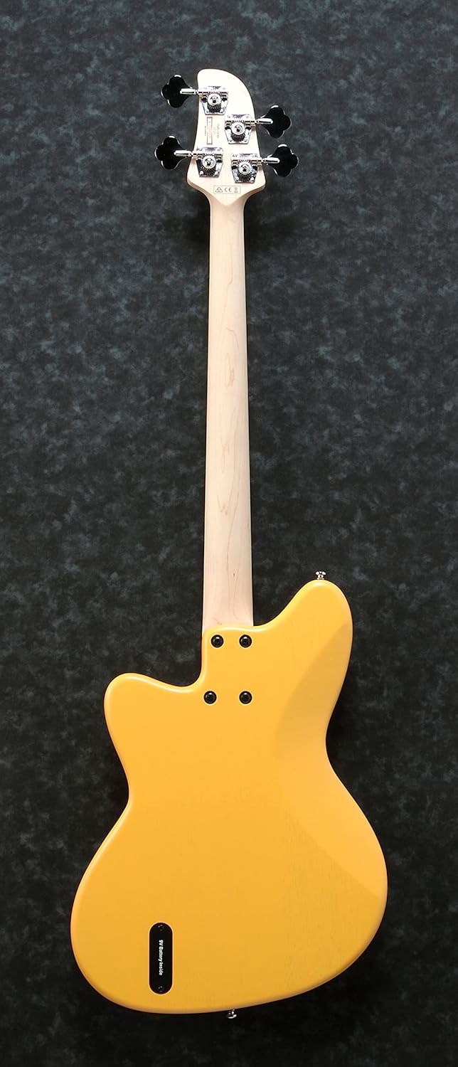 Ibanez TMB100 Meters - Mustard Yellow Flat