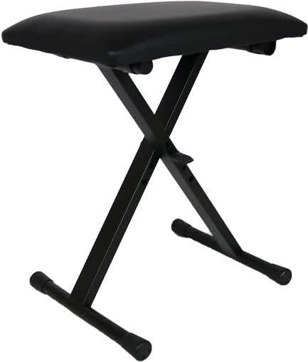 Casio LK-S250 Casiotone 61-Key Portable Lighted Key Keyboard Bundle with Adjustable Stand, Bench, Headphones, Sustain Pedal, Instructional DVD, and Austin Bazaar Polishing Cloth