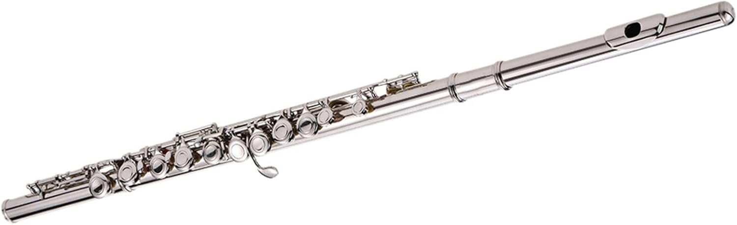 TSTS Flutes Musical Instrument Silver Plated 16 Holes C Key Flute Cupronickel Woodwind Instrument with Cleaning Cloth Stick Gloves