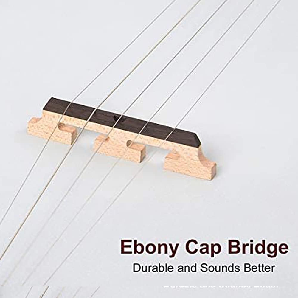 5-String Banjo 24 Bracket with Closed Solid Back and Geared 5th Tuner