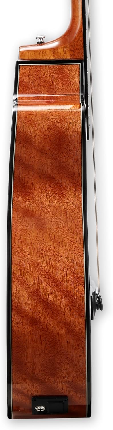 TARIO Left-Handed 4-String Electric Acoustic Bass Spruce Top Mahogany Neck Mahogany Back and Sides Comes with a Gig Bag