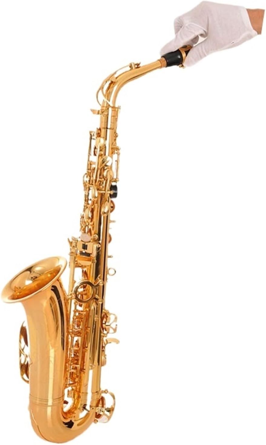Alto Saxophone Wind Instrument E Flat Saxophone Adult Beginners Grade Examination