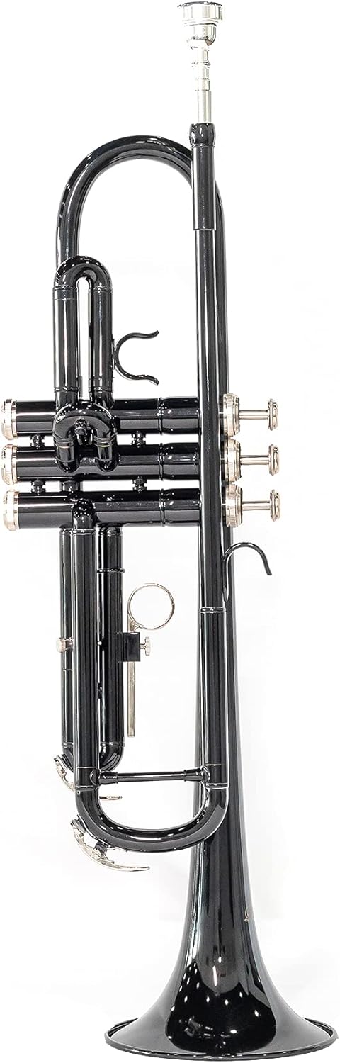 LeSage Student Trumpets Standard Bb Brass Trumpet for Beginner Black Trumpet b Flat with 7c Mouthpiece