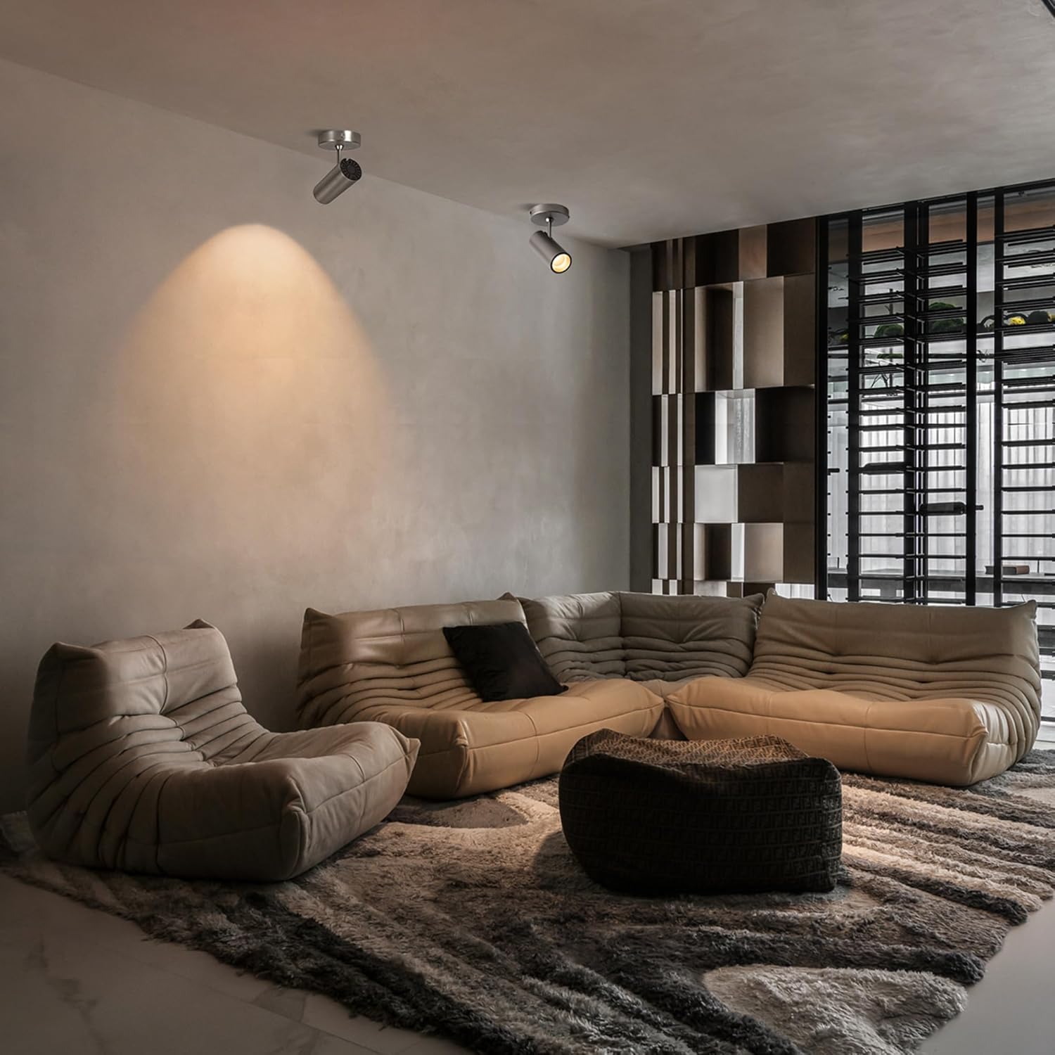 Spotlight Dimmable Ceiling Spot Lights Indoor LED Art Light 12W Accent Lighting for Home Corridor Living Room Bedroom, 3000K CRI97+ Brushed Nickel Finish