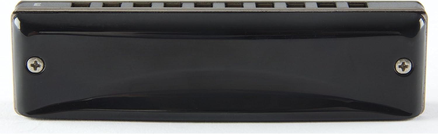 Other Harmonica, Black (HAMMOND HA-20 G)