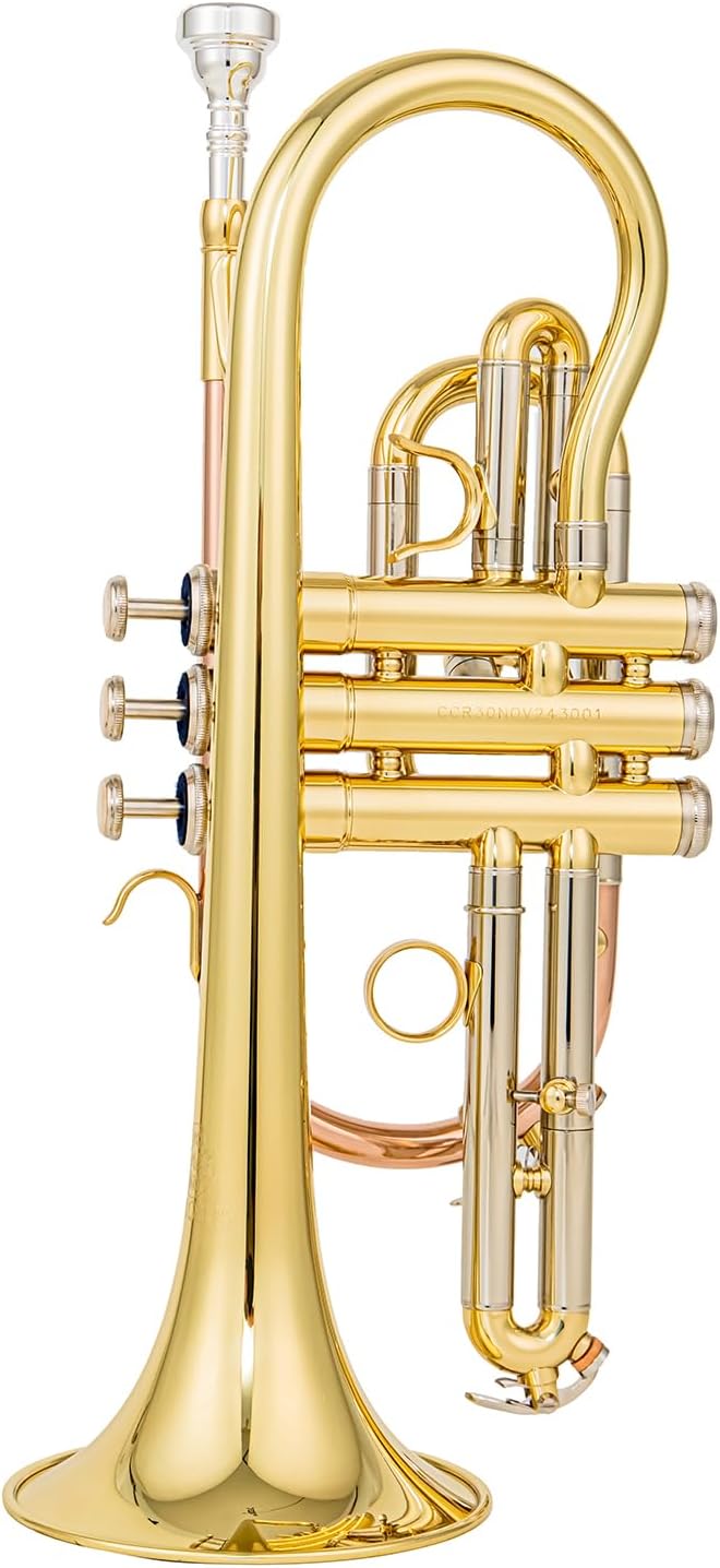 aurousus bb cornet acr 8330 for beginners intermediate players stainless steel valves ml bore gold brass leadpipe 120mm bell lacquered lightweight durable