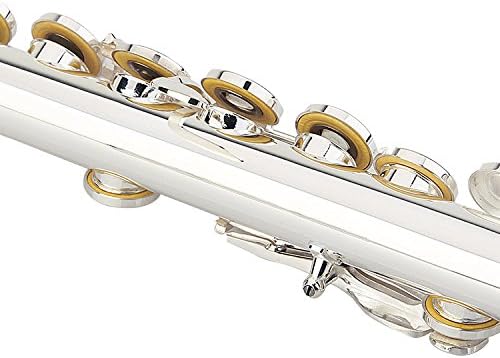 Glory Silver Plated Intermediate 16 Keys Open/Closed Hole C Flute
