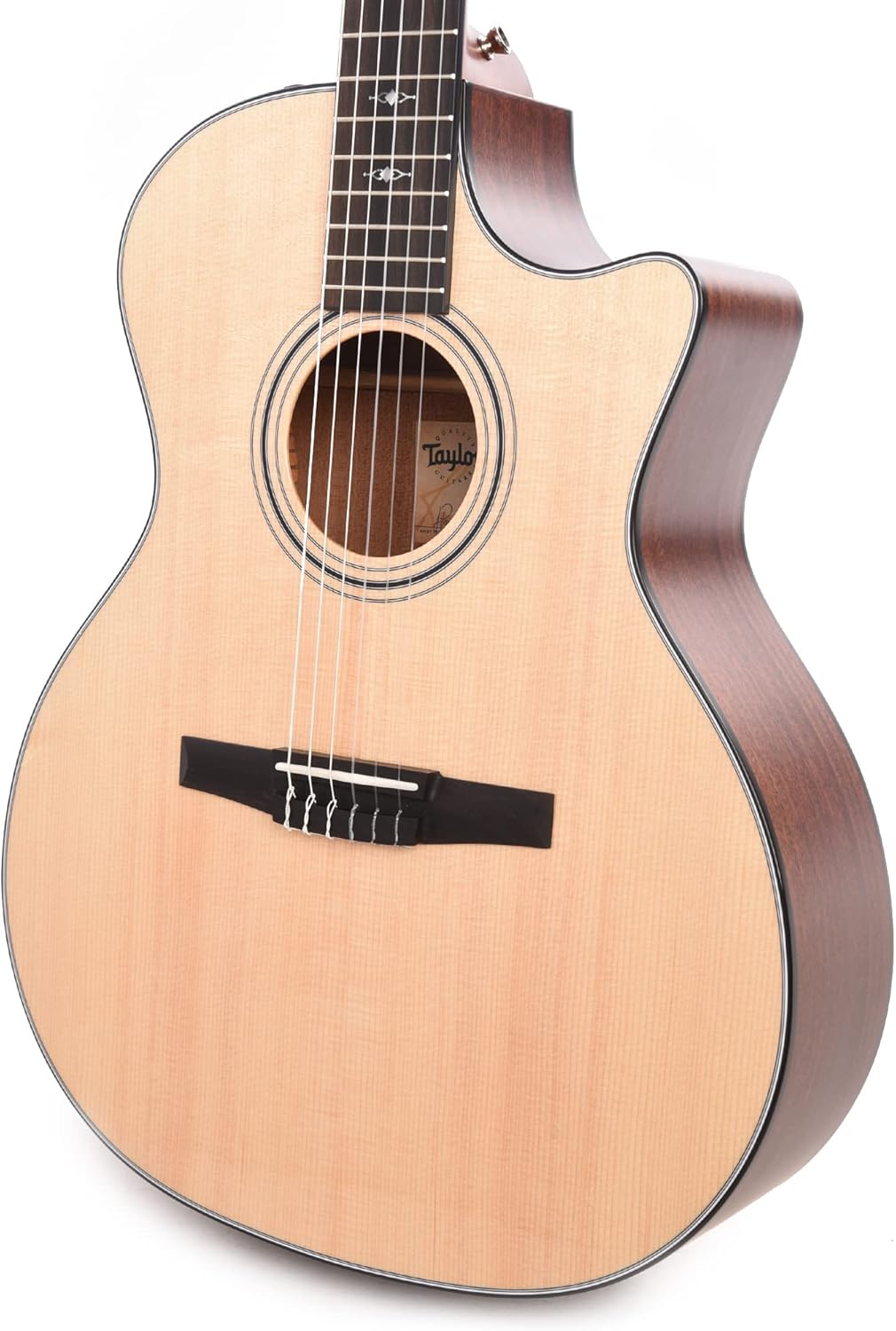 Taylor 314ce-N - Sapele Back and Sides