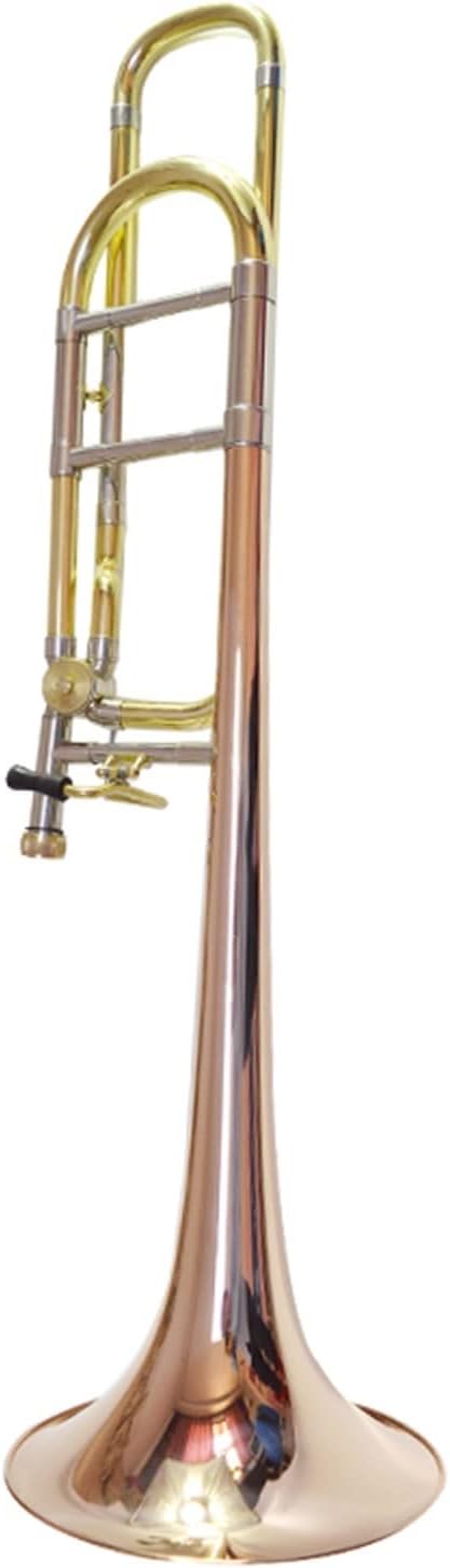 FLFL Student Trombone Phosphor Bronze with B Flat and F Tenor Tone Sandhi for Beginners
