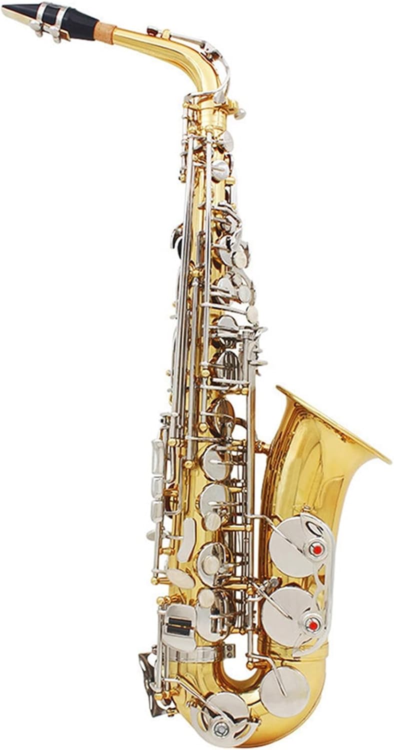 TSTS Alto Saxophone EB Tune Gold Lacquer Silver Key Brass Body Woodwind Instrument Brass Sax Full Kit