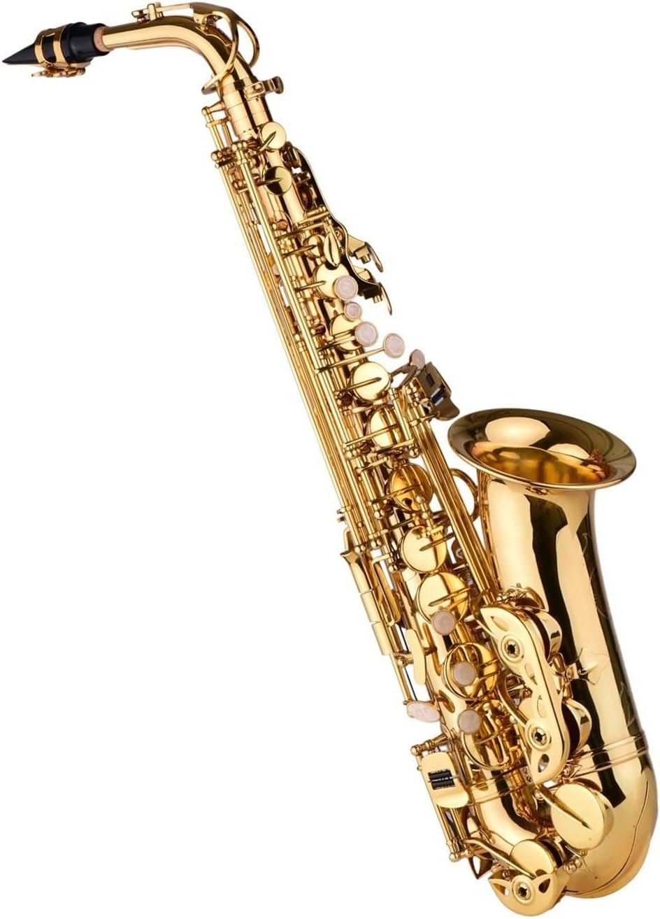 Woodwind Instruments Eb Alto Saxophone Brass Lacquered Alto Sax Wind Instrument With Carry Case Gloves Straps