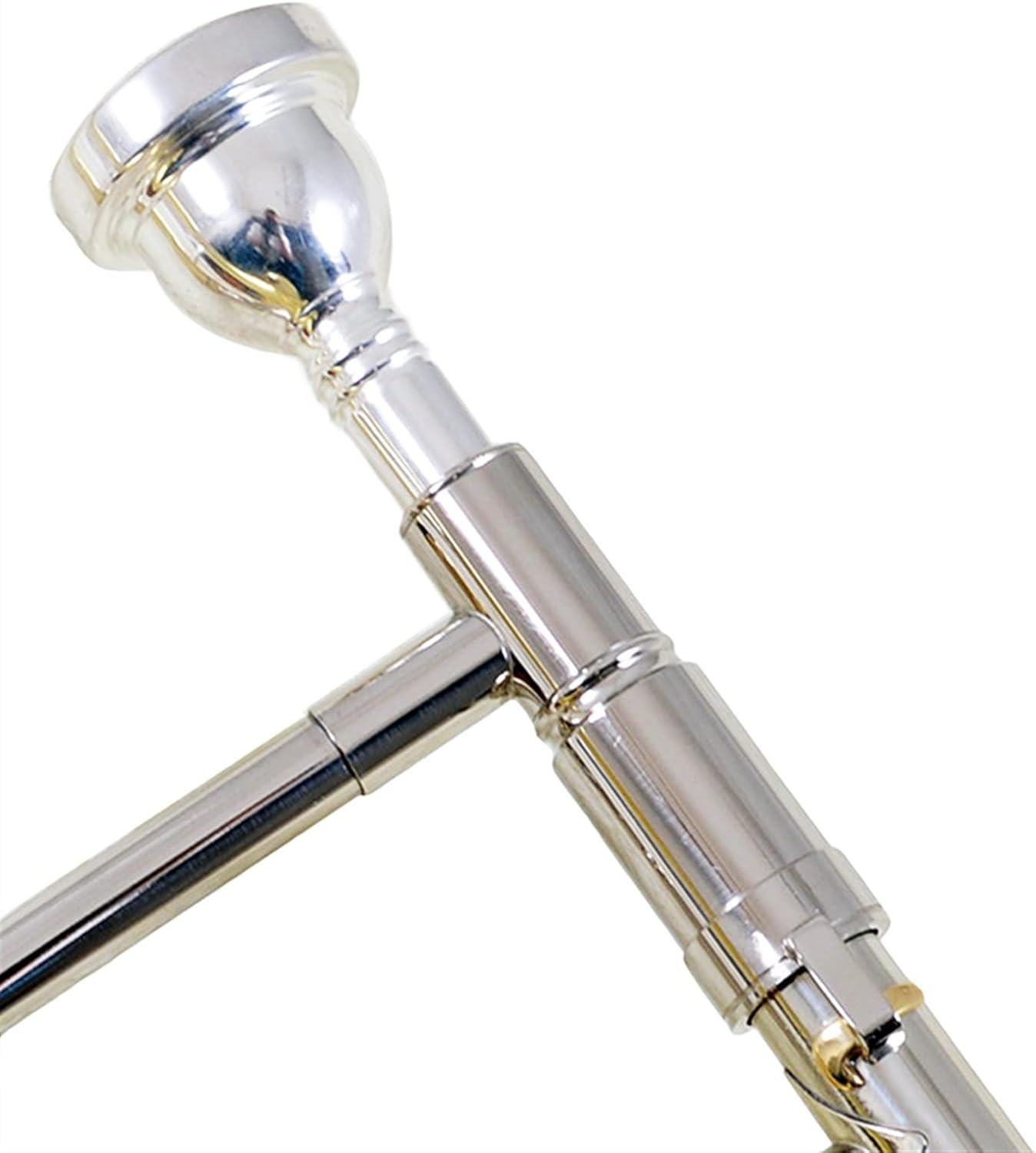 TSTS Professional B-Flat Bass Drawn Trombone Instrument for Beginners in Grading and Performance Beginner Trombone