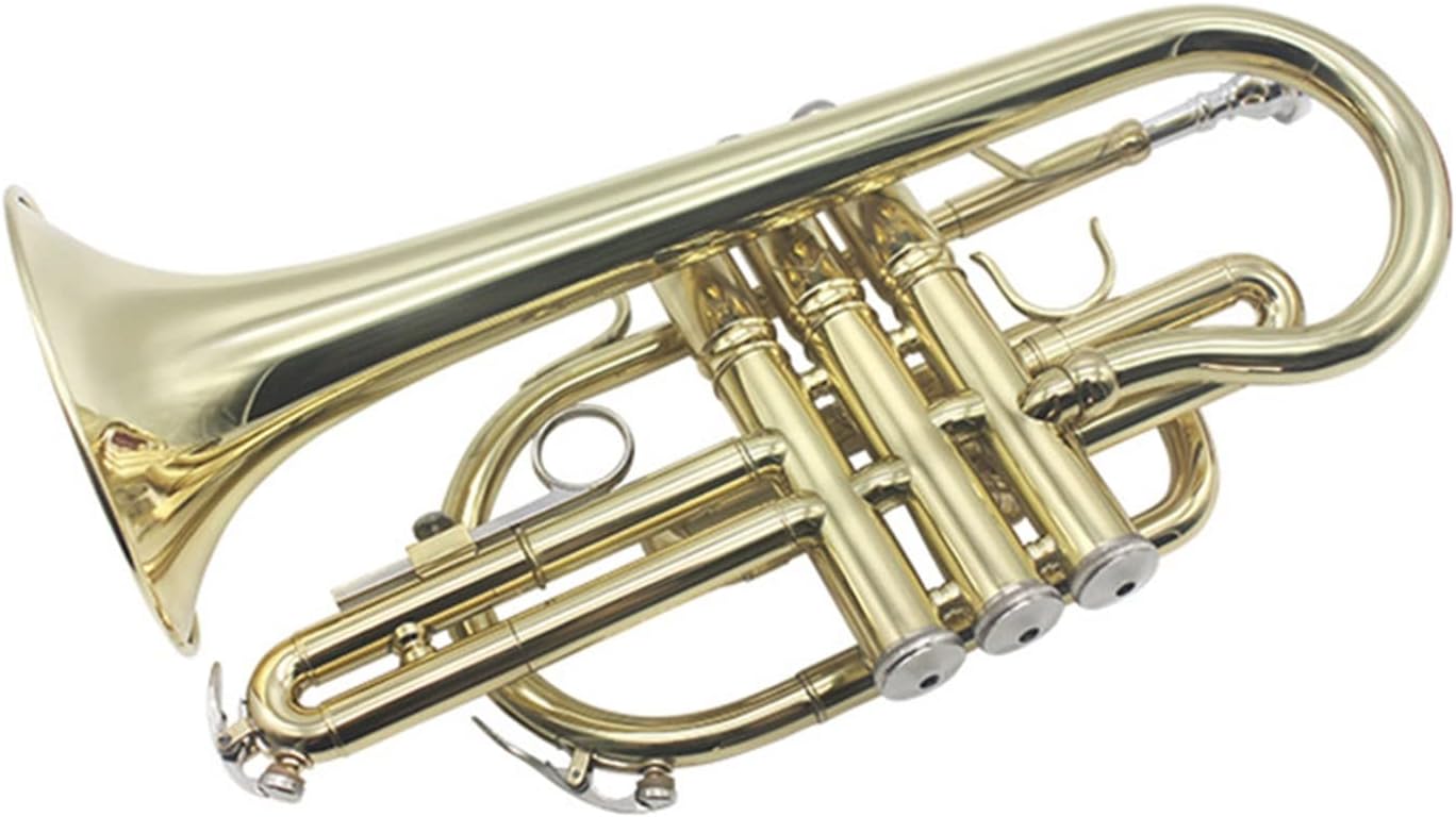 BB B-Flat Cornet Trumpet Brass Professional Cornet Beginner Trumpet