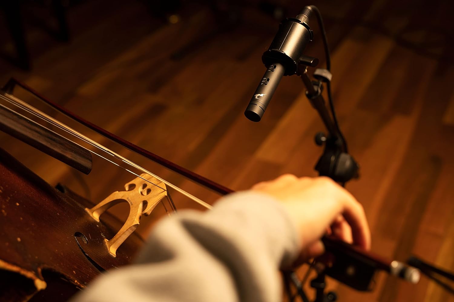 Antelope Audio Edge Note Small Diaphragm Modeling XLR Microphone — Dynamic Studio Cardioid Condenser Mic for PC Gaming, Podcasting & Recording — High SPL w/Pad Attenuator for Drums, Brass & Strings