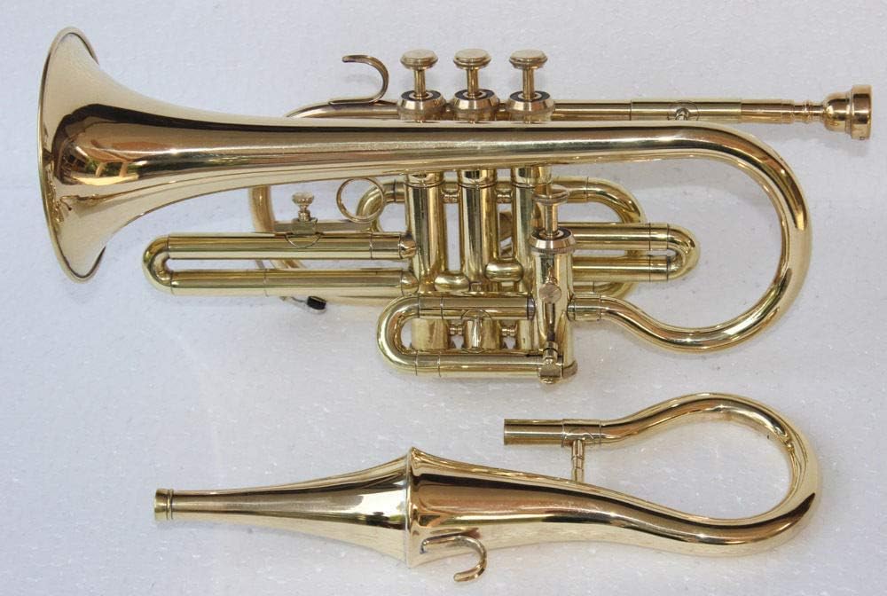 SALE SALE SALE GIFT Brass 4 Valve Brass Echo Cornet Brass Finish W/Case Gold