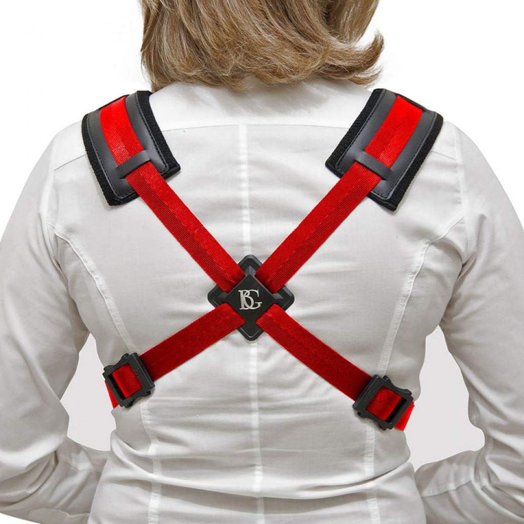 BG 6 String Acoustic Bass Guitar, Right, (S419CSH)