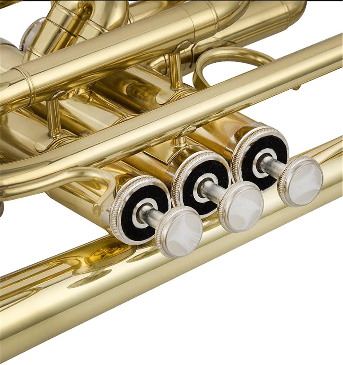Student Trumpet The Transparent Trumpet Cornet with High and Low Bass is Suitable for Grading Examination and Professional Performance
