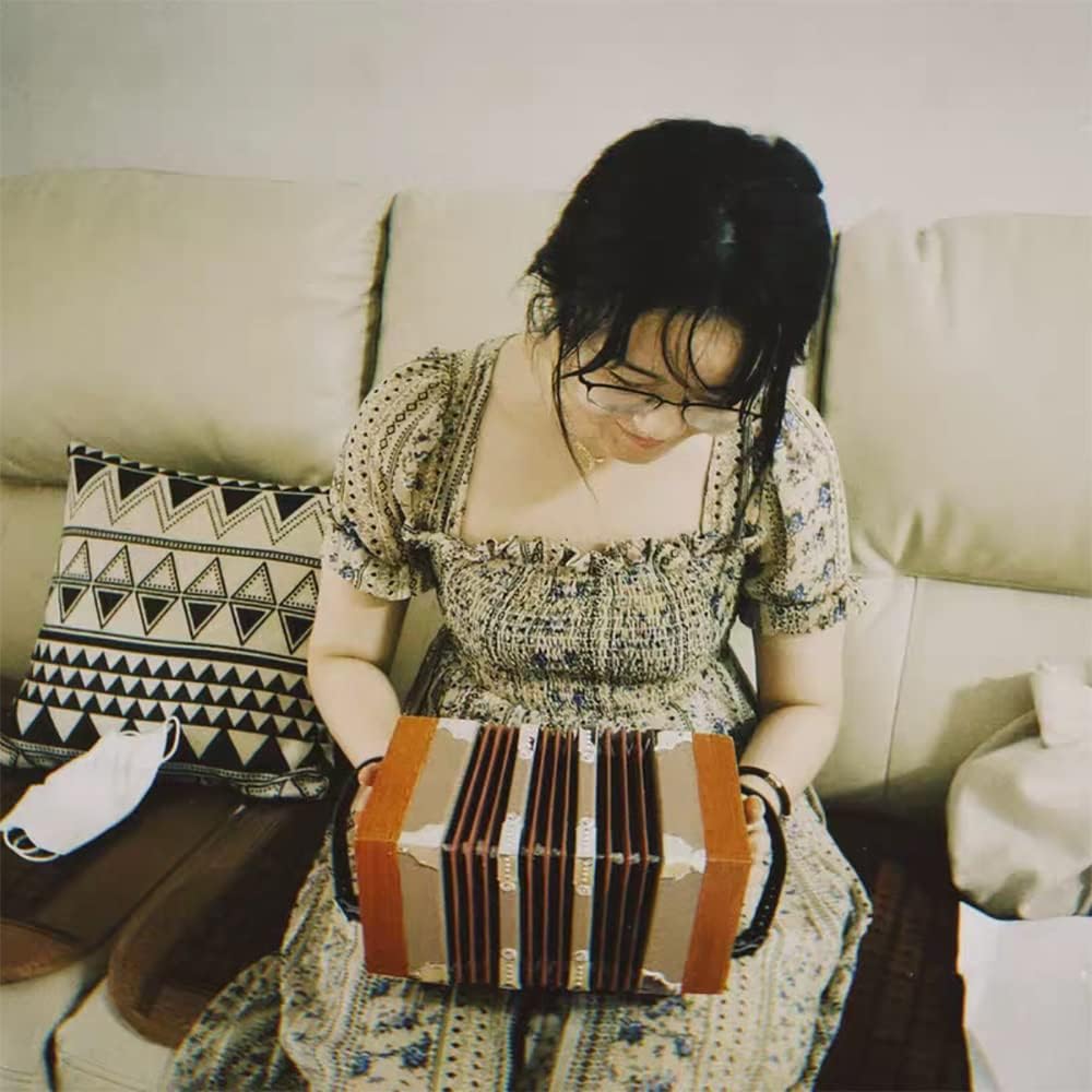 20-Button High-end And Elegant Ergonomic Design Concertina Instrument With Adjustable Hand Strap And Bag, Accordion For Daily Practice Stage Performance