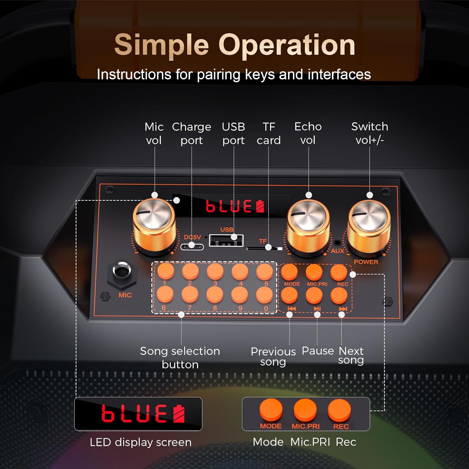 Portable Karaoke Machine with 2 Wireless Mics Bluetooth Karaoke Speaker with PA System for Adults,Parties,Home Use,Support BT/TF/USB/AUX/FM,Recording,LED Lights,Powerful Bass and Treble (K168N-Black)