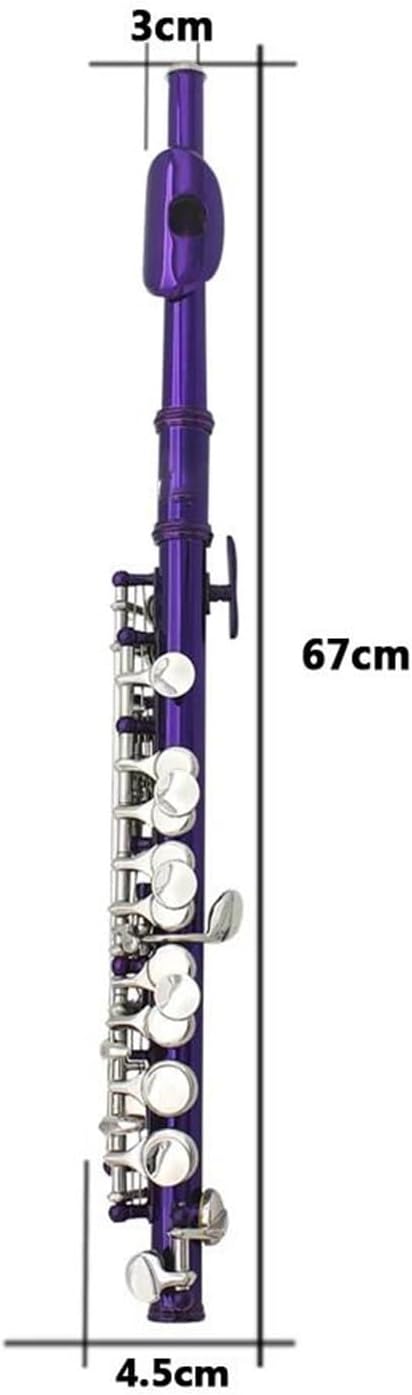 Purple Piccolo 16 Holes E Key Woodwind Instrument Half-size Flute Cupronickel With Leather Box