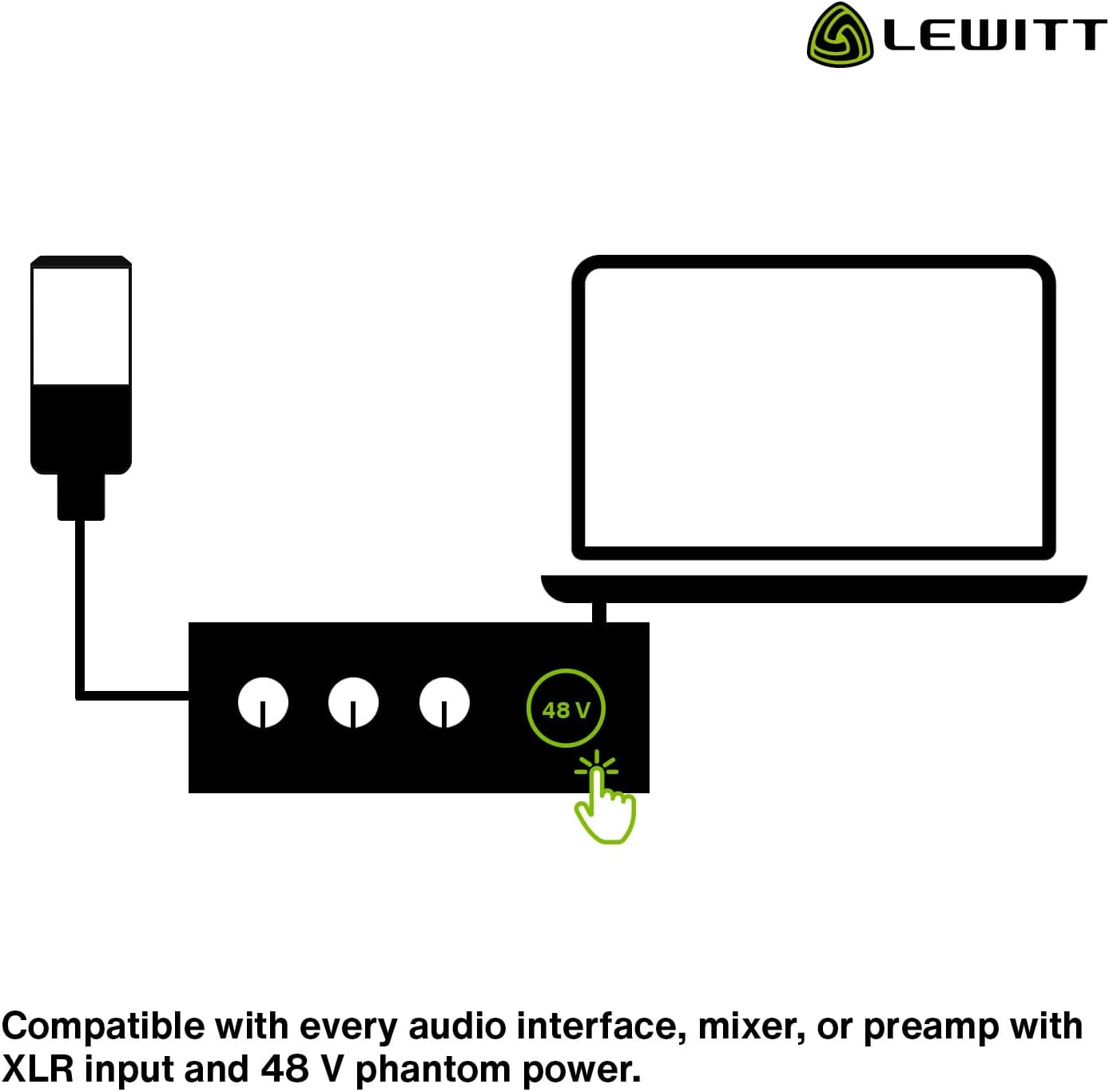 LEWITT LCT 240 Pro Large Diaphragm Condenser Mic