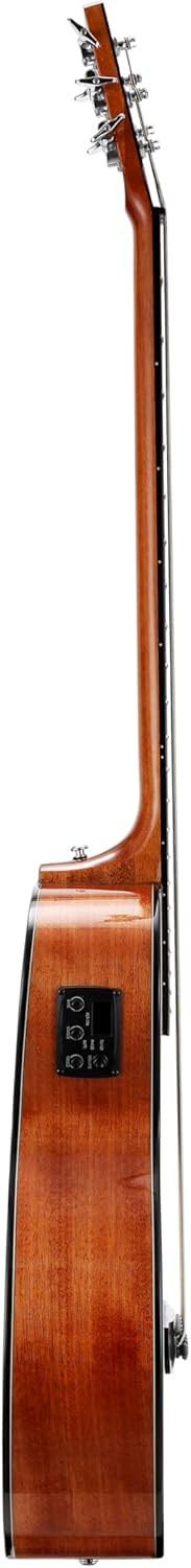 TARIO 5 String Electric Acoustic Bass Spruce Top Mahogany Neck Mahogany Back and Sides