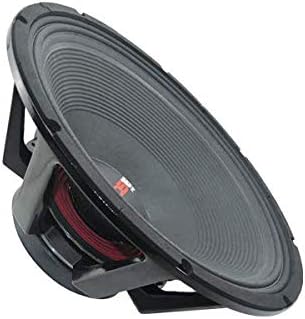 DS18 PRO-BX21N.2 Car Subwoofer Audio Speaker - 21